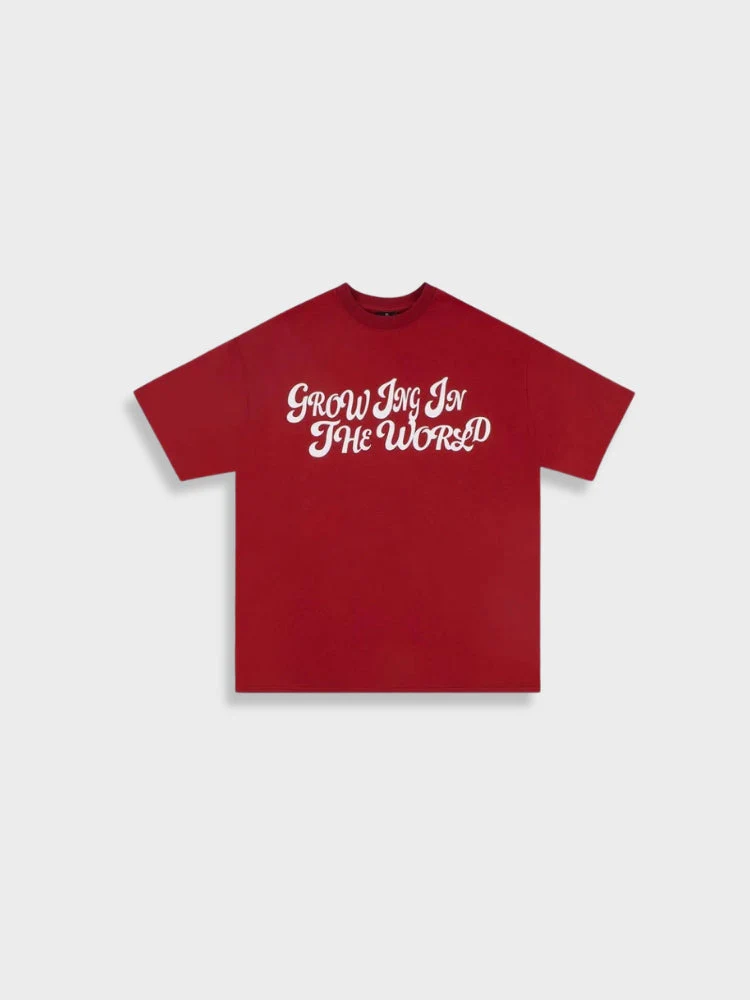 Groing in the World x Decarba Tee - Image 12